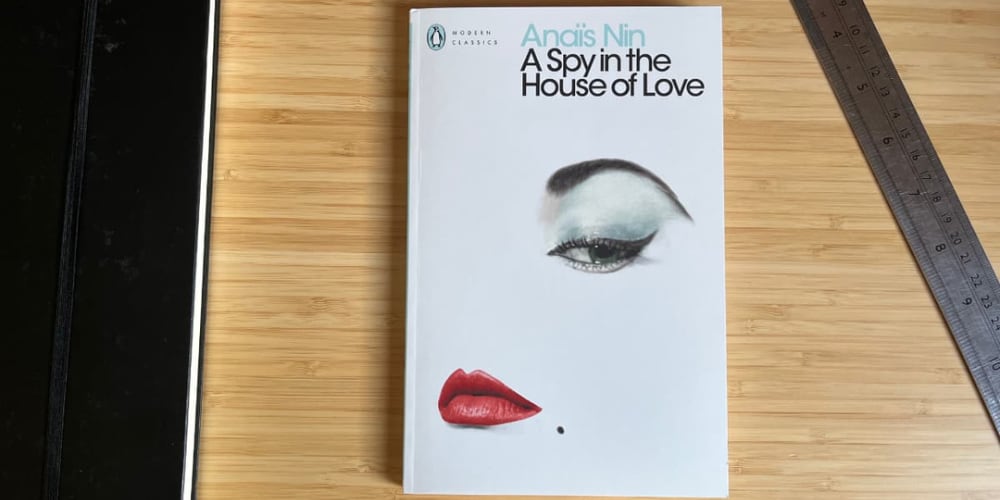 Cover of A Spy in the House of Love