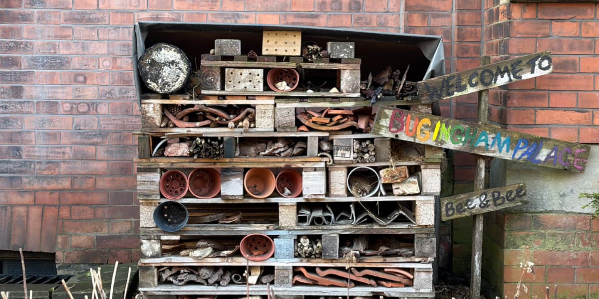 A bug palace called Bugingham Palance